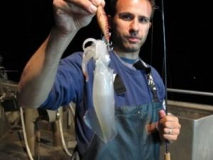 푸꿕 야간 오징어낚시 (단체)