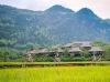 12 - ảnh nhỏ 3